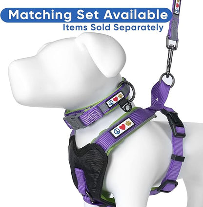 Pawtitas 6 FT Padded Dog Leash with Comfortable Neoprene Padding Handle - Purple Lead | Small Reflective Dog Leash with Highly Reflective Band Perfect for Extra Small and Small Dogs and Puppies.