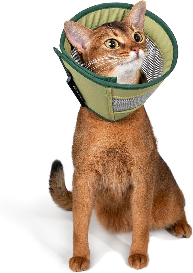 Breathable Soft Dog Recovery Cone Collar After Surgery, Adjustable Lightweight Elizabethan Collar with Air Mesh for Cats, Protective Collar to Stop Licking for Puppy, Green, L