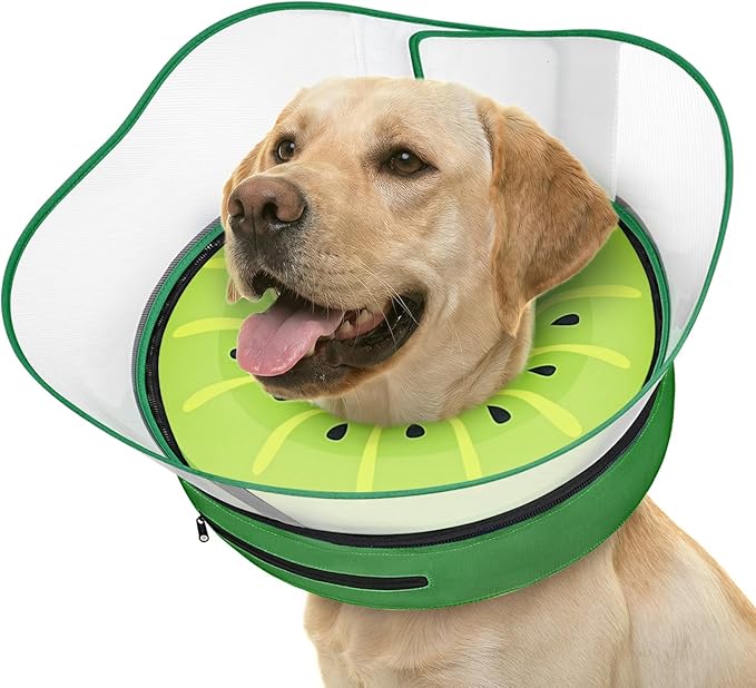 Supet Raised Inflatable Dog Cone After Surgery - Adjustable Recovery Donut Collar with Removable Shield to Stop Licking Wounds & Protect Stitches - Soft Dog Cone Alternative for Large Dogs (Kiwi,XL)