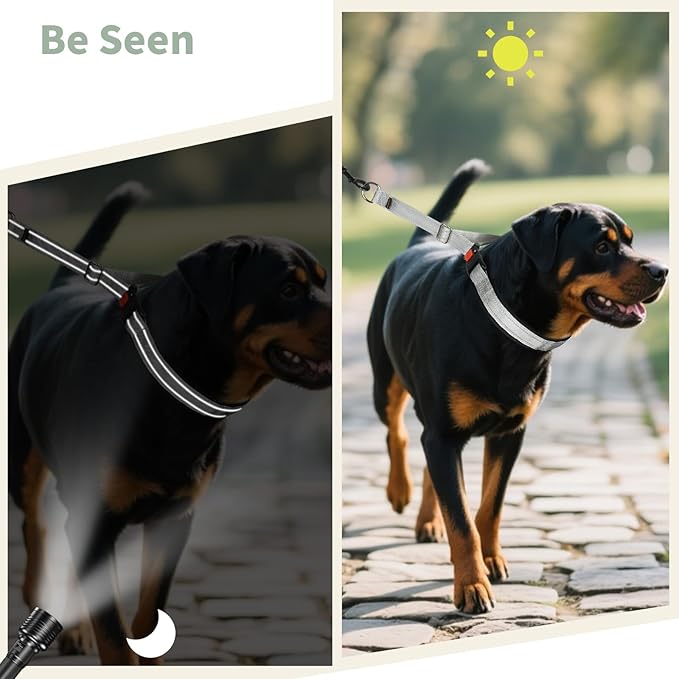 Mayerzon Martingale No Pull Collar for Medium Large Dogs, Patented Anti Pull Dog Collar with Buckle for Walking Training, with Neoprene Padding and Reflective Stitching, Adjustable(Grey, M)