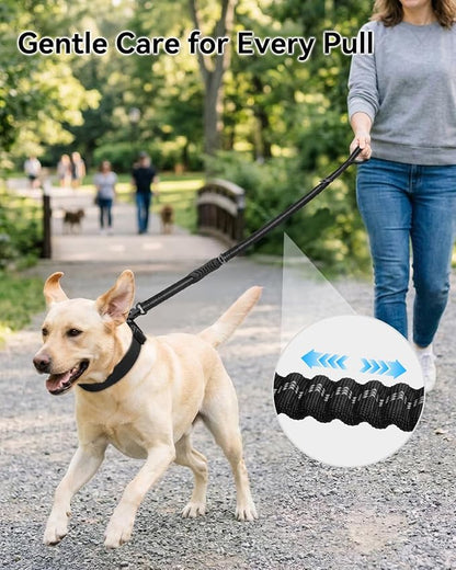 Joytale Tactical Dog Leash Heavy Duty, 4-6FT Shock Absorbing Bungee Lead with 2 Padded Handle, Metal Carabiner Clip, Car Seatbelt, Strong No Pull Leash for Medium Large X-Large Dogs, Black
