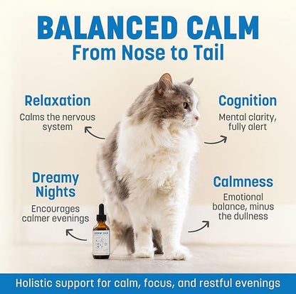 Keepin' Calm Ashwagandha Drops for Dogs & Cats - Calming Aid for Fireworks, Storms, Travel & Separation - Herbal Stress Relief, Non-Drowsy, 60ml