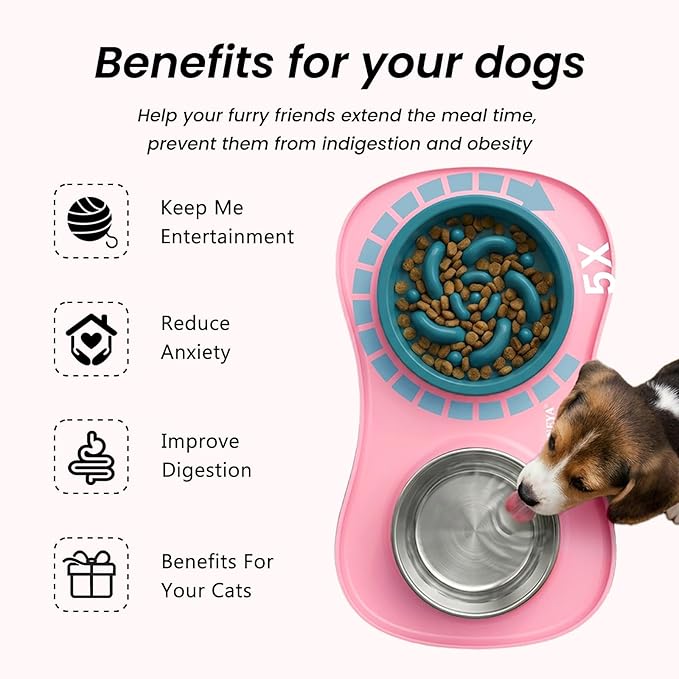 YINEYA Slow Feeder Dog Bowls Stainless Steel Food and Water Bowl Set 3 in 1 No Spill Waterproof Silicone Pet Food Mat Puppy Feeding Station for Large Medium Small Breed Non Slip Metal Dish Tray