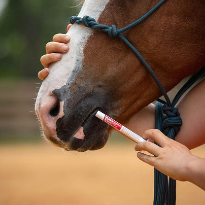 Jeffers Ivermectin Gel Dewormer for Horses - Apple Flavored, 1.87% Broad Spectrum Dewormer Paste - Effective Parasite Control for Worms, Pinworms, Bots & More - Safe for Equine of All Ages- 1 Pack