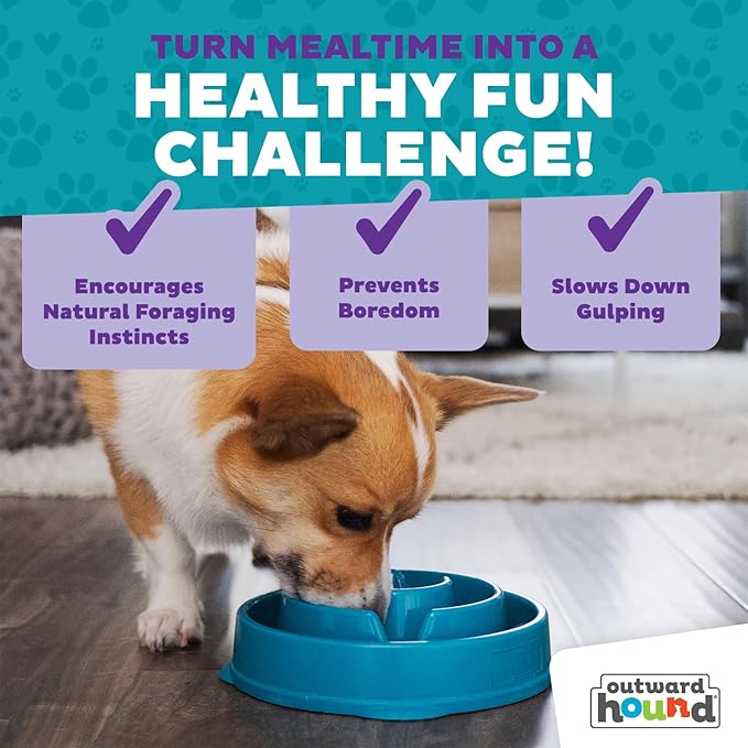 Outward Hound Fun Feeder Slo Bowl – Medium 2‑Cup Capacity,Slow Feeding,Small to Medium Dogs & Cats,Non-Slip,Turquoise,Drop Pattern,(Pack of 12)