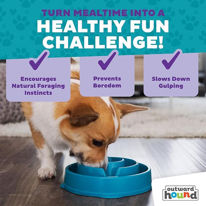 Outward Hound Fun Feeder Slo Bowl – Medium 2‑Cup Capacity,Slow Feeding,Small to Medium Dogs & Cats,Non-Slip,Turquoise,Drop Pattern,(Pack of 12)