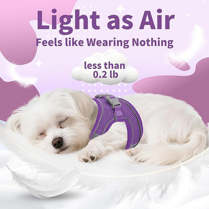 AIITLE Dog Harness, No-Pull Cat Harness with a Leash, Adjustable Reflective Dog Vest, Cat Harness Escape Proof, Outdoor Walking, Running,Training for Extra Small Dogs and House Cats Pure Purple XXXS