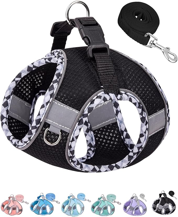 Petank Dog Harness for Small Medium Dogs No Pull, Puppy Harness and Leash Set,Step in Dog Harness for Walking, Running, Training, Small Dog Vest(Black, XXS)