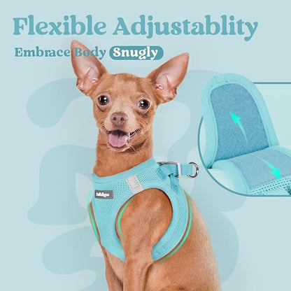 rabbitgoo Small Dog Harness, Step-in Soft Mesh Puppy Vest with Safety Buckle, Breathable Reflective Pet Harness for Small Medium Dogs, Mint Blue XL