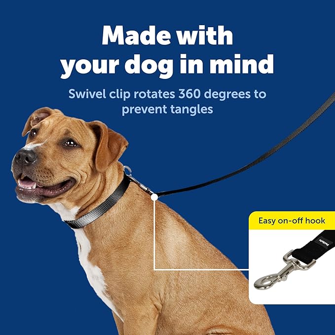 PetSafe Nylon Leash - Durable Cat & Dog Behavioral Training Leash - Compatible with Easy-Walk Harness - Traditional-Style Reliable Pet Lead with a Padded Hand Wrap - 3/8" x 6' - Black