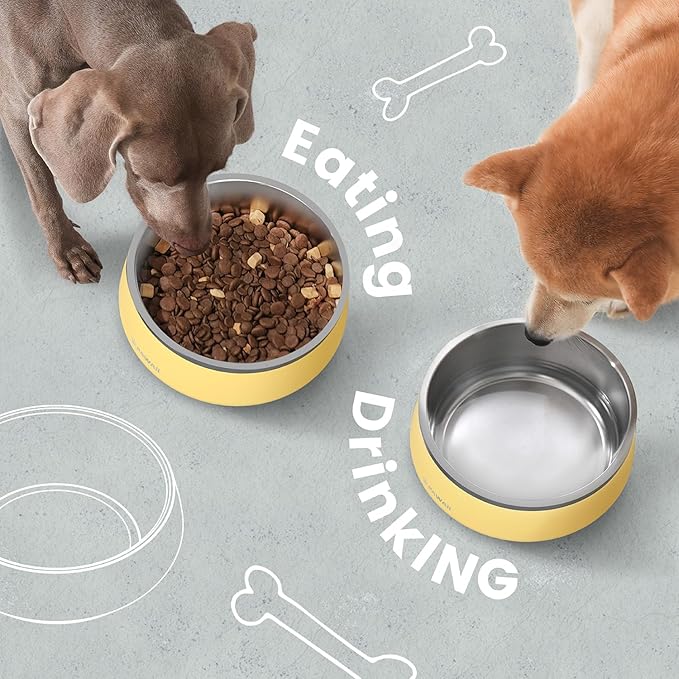 Pawaii Dog Bowl, 34 oz Double-Wall Stainless Steel Food and Water Bowl, Non-Slip Rubber Base, Dishwasher Safe, ID Tag Included, (1 Pack)