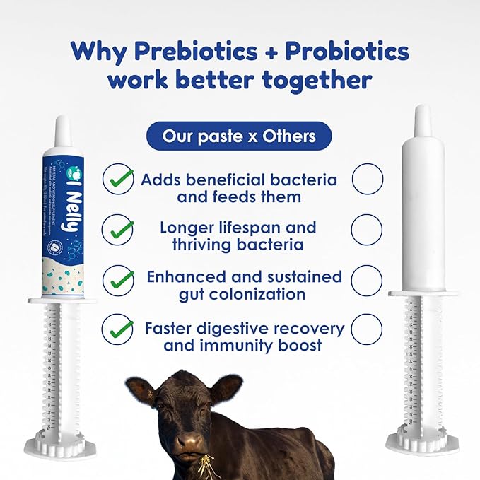 Ruminant Probiotic Paste 80CC for Cattle, Goats & Livestock – Prebiotic + Probiotic 6 Strains 8B CFU, Vitamin E & Minerals – Digestive, Rumen & Immune Support, Calving