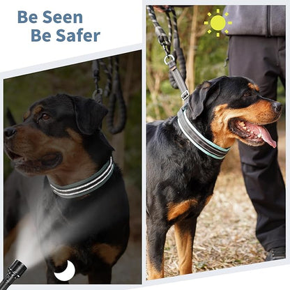 Mayerzon Martingale No Pull Collar for Small Medium Dogs, Patented Anti Pull Dog Collar with Buckle for Walking Training, with Neoprene Padding and Reflective Stitching, Adjustable(Teal Trim, S)