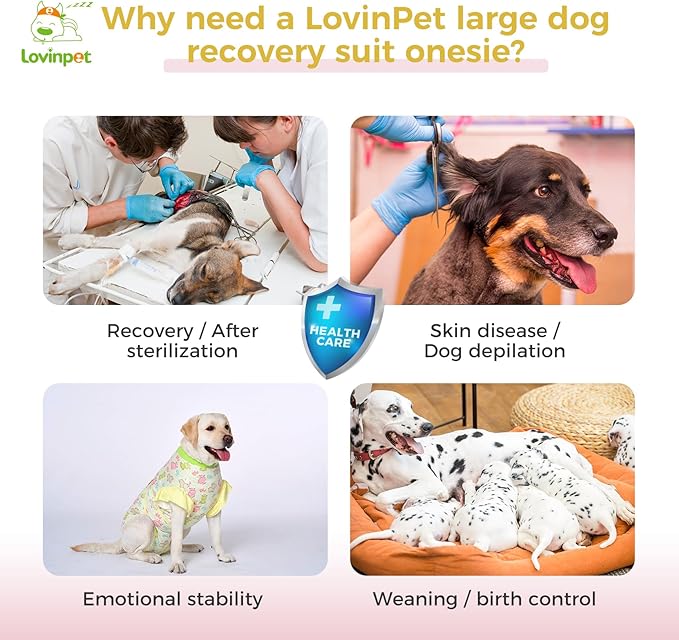 LovinPet Dog Recovery Suit - Medium Large - Professional Large Dog Recovery Suit Abdominal Wound Surgical Clothes Post-Operative Vest E-Collar Alternative Recovery,Hippo,Yellow,XL