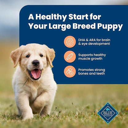Blue Buffalo Life Protection Formula Large Breed Puppy Dry Dog Food with DHA, Vital Nutrients & Antioxidants, Made with Natural Ingredients, Chicken & Brown Rice Recipe, 34-lb. Bag