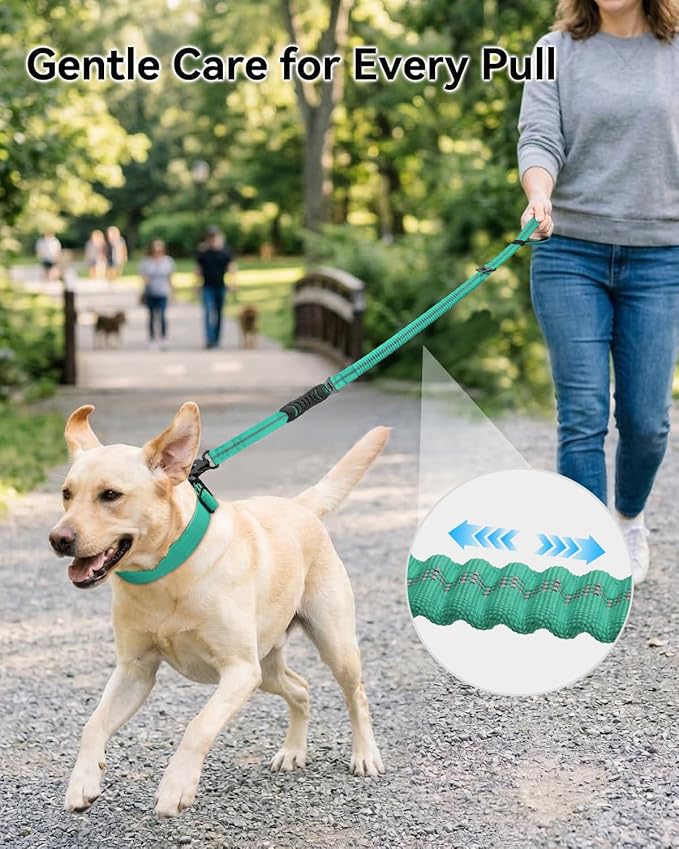 Joytale Tactical Dog Leash Heavy Duty, 4-6FT Shock Absorbing Bungee Lead with 2 Padded Handle, Metal Carabiner Clip, Car Seatbelt, Strong No Pull Leash for Medium Large X-Large Dogs, Teal