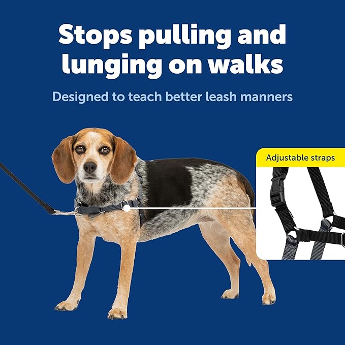 PetSafe Easy Walk Harness for Dogs - Pull-Free Walks - Patented Martingale Loop Design - Front Chest Leash Attachment - Comfort Straps - Breathable Harness Design - Small/Medium, Charcoal/Black