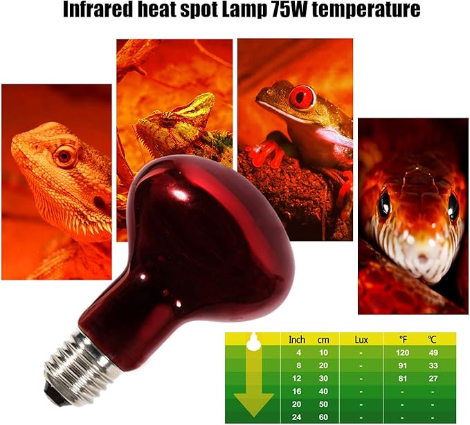 Infrared Heat Lamp Bulbs 75W 2 Pack,Red Basking Spot Light Bulb Reptile Heating lamp for Bearded Dragon,Turtle,Snake,Leopard Gecko,Chicked with Digital Temperature Thermometer