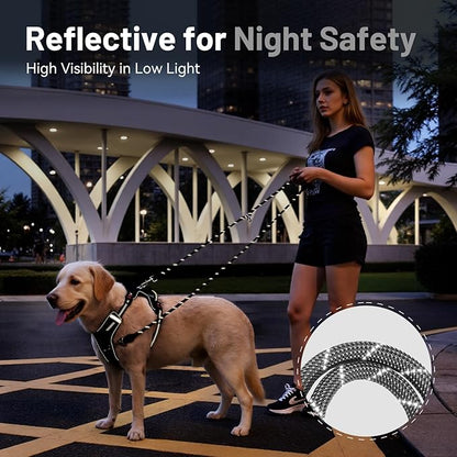 Hands-Free Dog Leash, 6.5ft Heavy Duty Reflective Nylon Leash with Dual Metal Hooks, Adjustable Crossbody & Waist Use for Walking, Jogging and Heel Training (Grey)