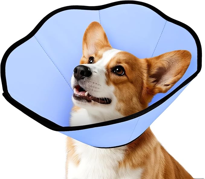 MIDOG Dog Cone Collar After Surgery, Soft Dog Cone Alternative to Stop Licking,Adjustable Elizabethan Recovery Cones for Small to Large Sized Dogs