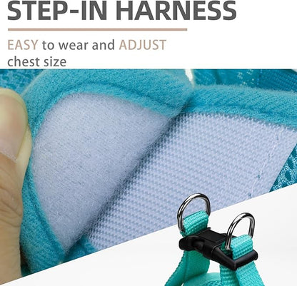 PUPTECK Adjustable Dog Harness Collar and Leash Set Step in No Pull Pet Harness for Small Medium Dogs Puppy and Cats Outdoor Walking Running, Soft Mesh Padded Reflective Vest Harnesses, Turquoise L