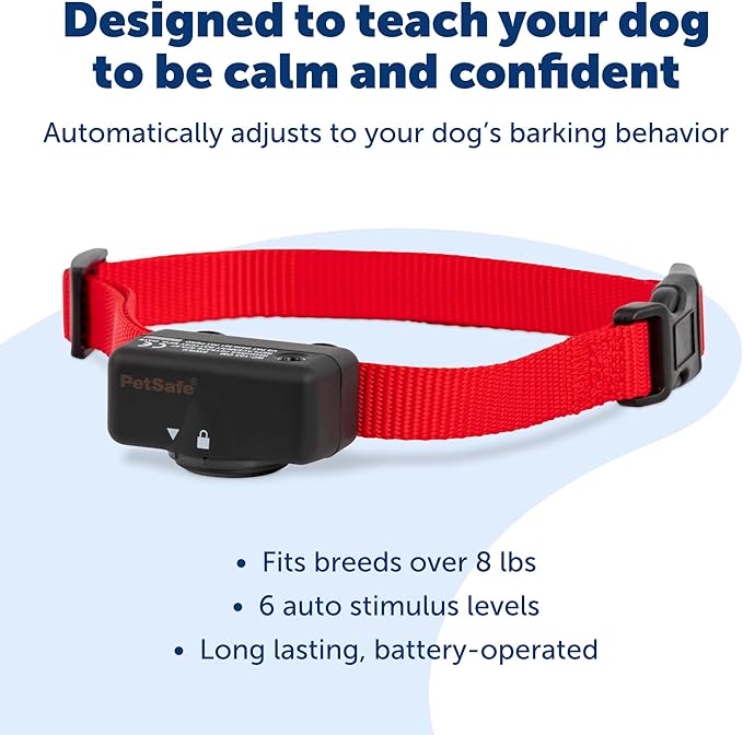 PetSafe Basic Bark Control Collar - Effective & Accurate Bark Detection Collar - Safe & Reliable Training with Multiple Static Stimulation Levels - Waterproof & Battery-Operated