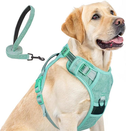 BEAUTYZOO No Pull Dog Harness, Adjustable Dog Harness and Leash Set -Easy Wearing with 3 Buckles/Control Handle,No Choke Soft Padded Reflective Pet Vest for Training Walking Hiking,Solid Aqua Blue L