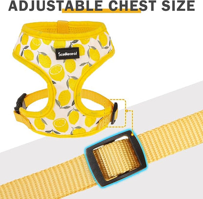SCENEREAL Small Dog Harness and Leash Collar Set - No Pull Dog Harness for Small & Medium Sized Dogs - Soft Mesh Vest for Puppies, Chihuahua, Yorkie, Spring Summer Hiking Walking, Yellow Lemon XS