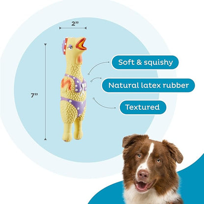 Outward Hound by Charming Pet Squawkers Henrietta Latex Squeaky Rubber Chicken Dog Toy, Funny Interactive Holiday Toy for Dogs, Small Size (Pack of 2)