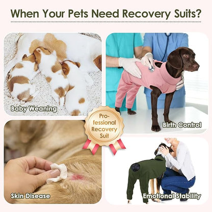 KOESON Breathable Recovery Suit for Dogs with Zipper to Stop Licking, Soft Dog Surgical Recovery Sleeve for Hind Legs, Strechy Pet Neuter/Spay Onesie, Large Dog Pant for Back Leg Wound Heal, XXXL
