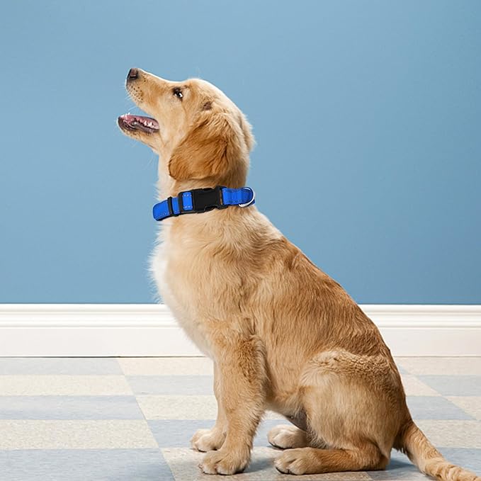 Reflective Dog Collar, Adjustable Soft Neoprene Padded Nylon Pet Collars with Buckle for Extra Large Dogs, Navy Blue,XL