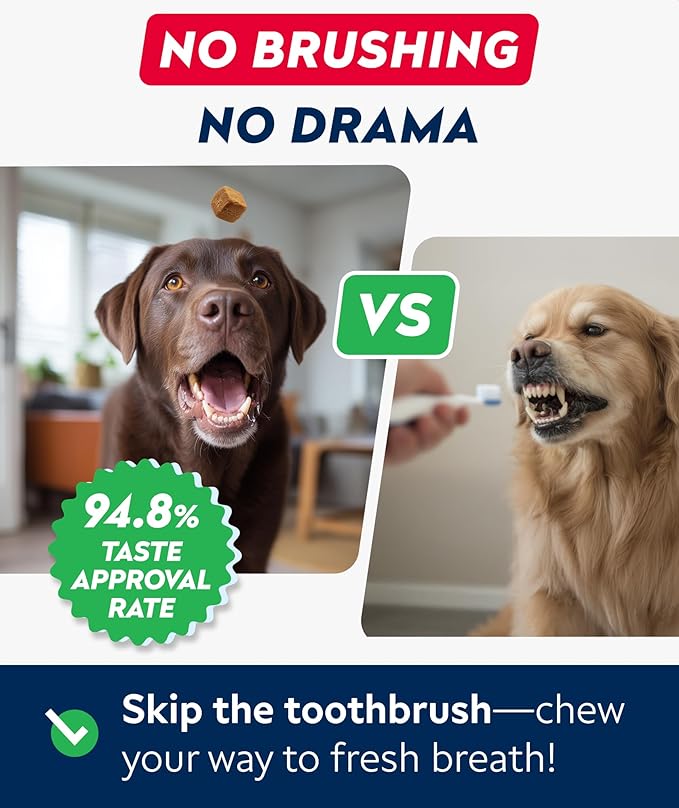 STRELLALAB Advanced Dog Dental Chews & Breath Freshener – Dog Teeth Cleaning Treats, Bad Breath Control, Plaque & Tartar Off, Pet Oral Care, Pro Perio Support, Lab Co Bright Formula – 90 Treats