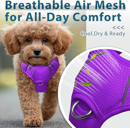 BARKBAY Dog Harness No Pull with ID Tag Pocket - Heavy Duty, Reflective, Easy Control for Large Dogs(Purple,XS)