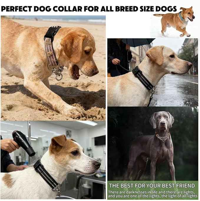 Martingale Dog Collars, Reflective Nylon Collar with Stainless Steel Chain, Adjustable Walking Training Dog Collars with Quick Release Buckle, Suitable for Small Medium Large Dogs(Black,M)