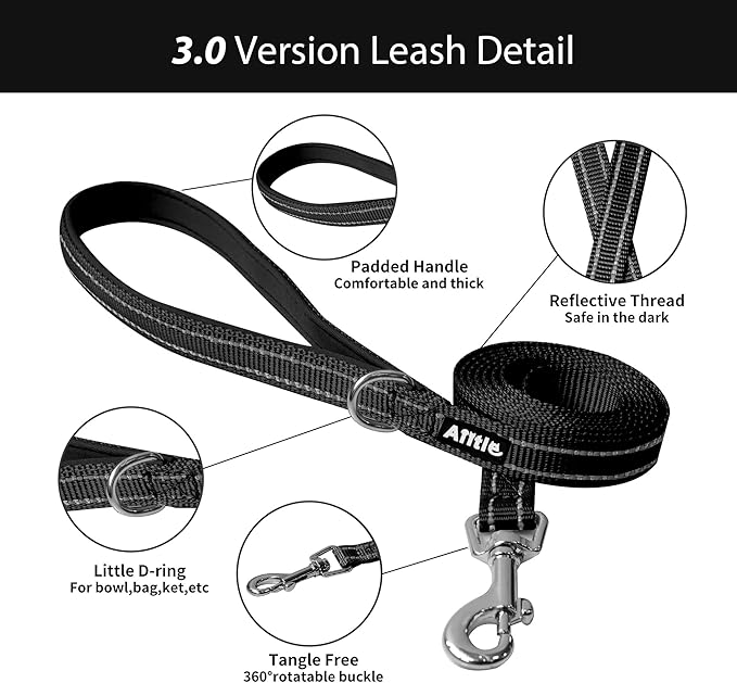 AIITLE Small Harness for Puppy with A Leash - Dog Vest Harness with Super Breathable Mesh, Reflective No-Pull Pet Harness for Outdoor Walking, Running for Small Dogs, Cats Black XXS