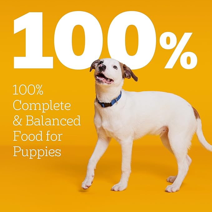 Pedigree Dry Puppy Food, Puppy Dry Food with Grilled Steak and Vegetable Flavor, 3.5 lb. Bag