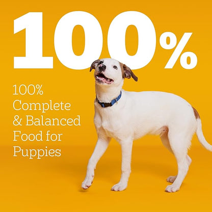 Pedigree Dry Puppy Food, Puppy Dry Food with Chicken, Rice, and Vegetable Flavor, 3.5 lb. Bag