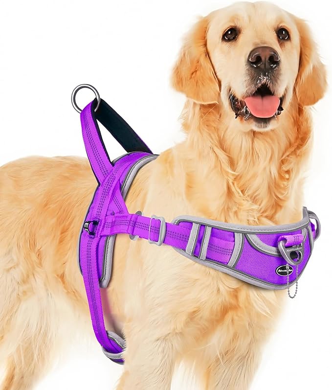 ADVENTUREMORE Dog Harness for Medium Dogs No Pull, Sport Dog Halter Harness Adjustable Reflective Dog Vest Escape Proof Dog Harness with Easy Control Front Clip Handle for Training Walking M Purple