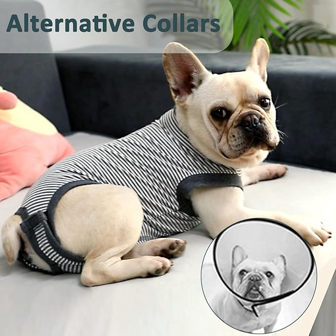 Dog Recovery Suit, Dog Surgical Recovery Suit, Onesie Bodysuit for Surgery Neuter Male Female, Spay Shirt for Anti Licking, Gray, XL
