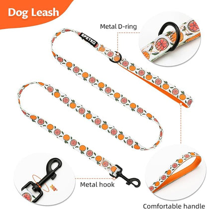 Small Dog Harness and Leash Set of 6, No Pull Soft Lightweight Mesh Puppy Harness， Adjustable Cute Floral Pattern Pet Harness for Small Medium Dogs (Orange, S)