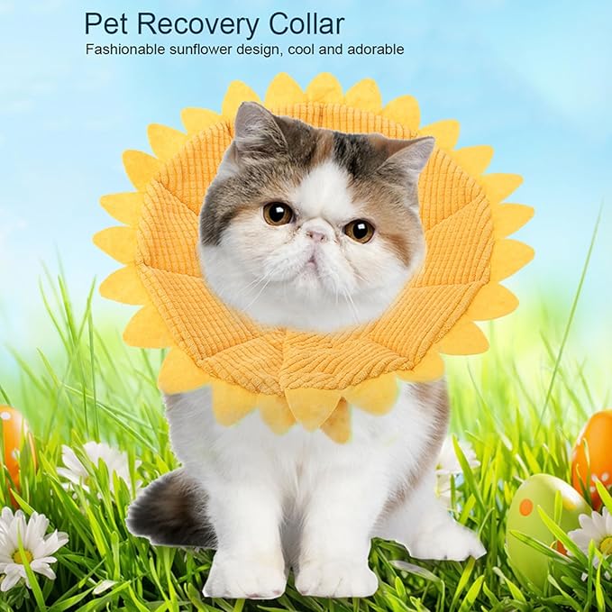 Cat Cone, Pet Recovery Collar Sunflower Shape Pet Elizabethan Collar Pet Recovery Cone Adjustable Pet Collar for Cat Dog (No. 3 Neck Circumference 23-26cm)