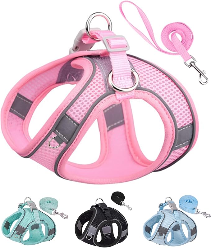 Solmoony Dog Harness for Small Medium Dogs No Pull, Puppy Harness and Leash Set, Puppy Harness, Step in Harness for Small Dogs, mesh Dog Harness. (Pink, M)