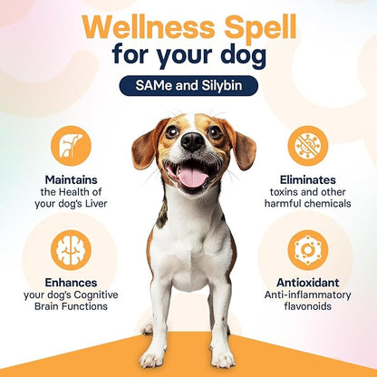 Liver Health Supplement for Medium Dogs - Milk Thistle for Dogs Liver Support with S-Adenosylmethionine (Same) & Silybin - 30 Tablets