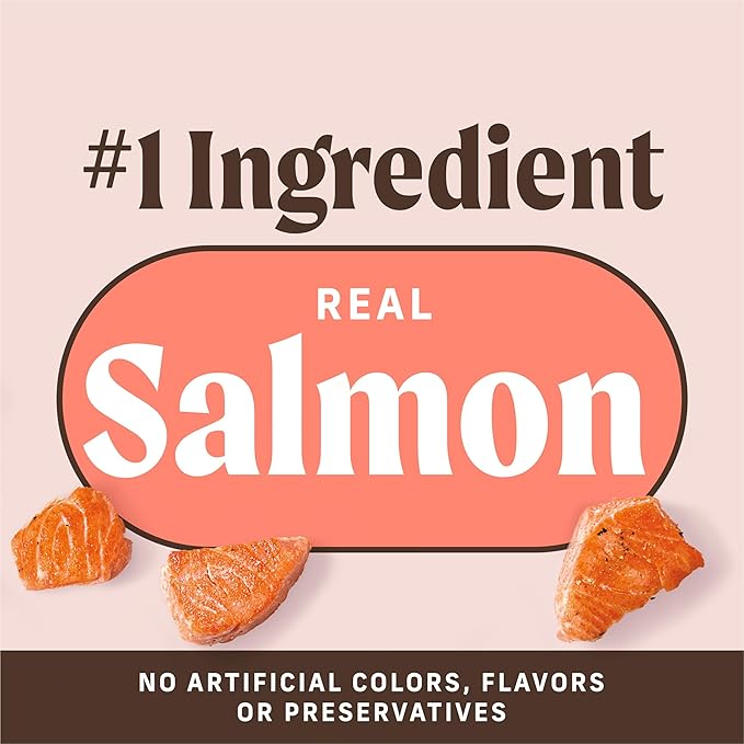 Merrick Power Bites Salmon Recipe Healthy Dog Treats, Real Salmon Grain-Free Dog Snacks, 6 oz Bag