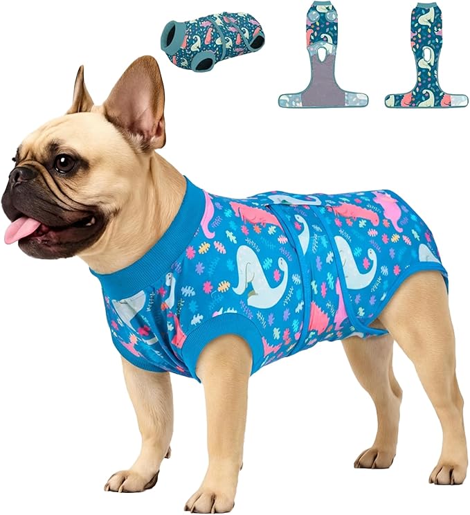 PetWarm Surgical Suit for Male Dogs, Dog Coat's Inner Clothes, Substitute E-Collar and Cone Prevent Licking Recovery Suit, Female Male Dog Onesie for Spay Neuter, Dinosaur Pattern, Multi-Colored, XS