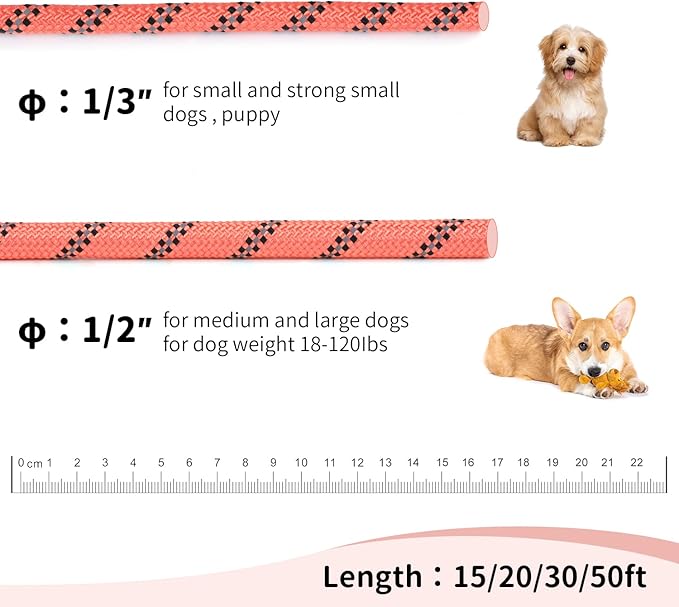 Long Dog Leash for Training 30Ft-Reflective Nylon Rope with Swivel Hook-Recall Agility Lead for Large Small Medium Dogs Outside Walking Hiking-Orange Diam 1/2"