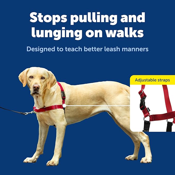 PetSafe Easy Walk Harness for Dogs - Pull-Free Walks - Patented Martingale Loop Design - Front Chest Leash Attachment - Comfort Straps - Breathable Harness Design - Large, Red/Black