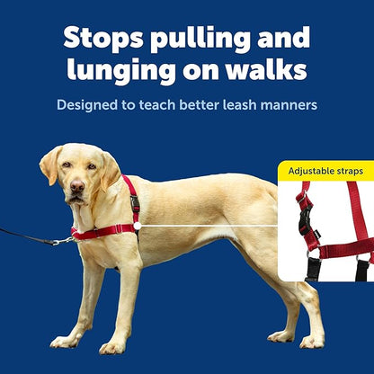 PetSafe Easy Walk Harness for Dogs - Pull-Free Walks - Patented Martingale Loop Design - Front Chest Leash Attachment - Comfort Straps - Breathable Harness Design - Large, Red/Black