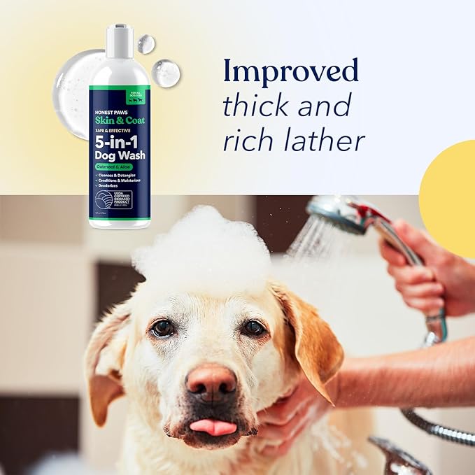 Honest Paws Dog Shampoo and Conditioner - Premium Dog Wash for Allergies and Dry, Itchy, Moisturizing for Sensitive Skin - Sulfate Free, Plant Based, All Natural - Oatmeal & Aloe -16 Fl Oz