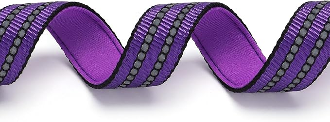 Martingale Collar with Chain，Stainless Steel Chain for Dogs, No Pull Slip Cinch Choker Choke Collar Training Escape Proof Heavy Duty Dog Collar for Small Medium Large Pet Boy Male Dogs，Purple M